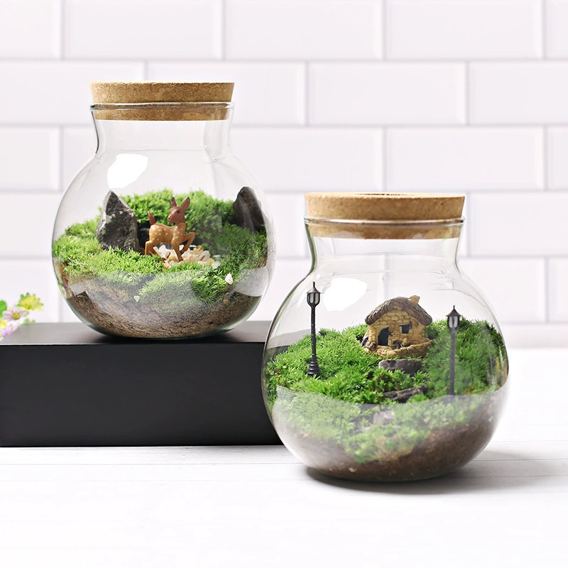 O бутылка мох микро пейзаж экологическая бутылка душный Рабочий стол мини-Горшечное растение офис Крытый Творческий ландшафтный дизайн белые волосы мох