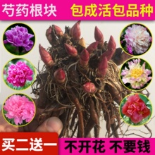 ����ĵ���绨���^�p��ș�����ذꎧѿ���K�N���҃����̨�_�����l