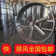 ILȴLLrÓPSBֳͨLQ⽵LȓP