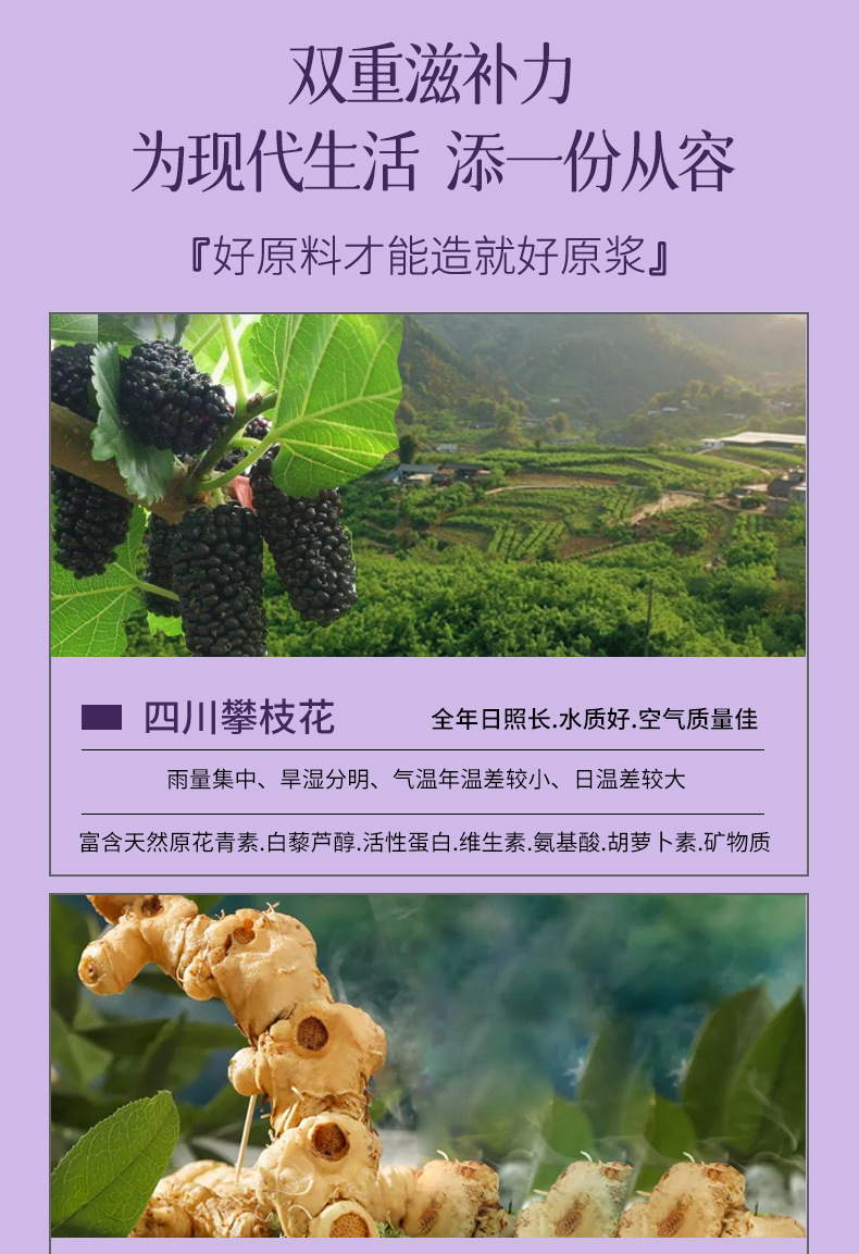 Mulberry and Polygonatum NFC Original Juice Drink 500ml Box Herbal Wellness Beverage specifications
