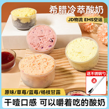 希腊风味冷萃酸奶糕点甜品蛋糕网红固体奶酪罐子休闲零食小吃批发