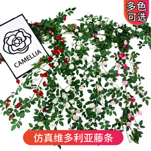 ����S���������ٗl���{ˮ���p�@�ړ���c�쾰�҃��b��҃Ƞ���