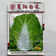 ��������ꖰײ��ļ��Nֲ�ˈ@Ժ�Ӱײ��߲˷N��������l�S��ֱ�l