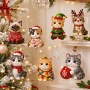 圣诞热销跨境2026advent猫咪