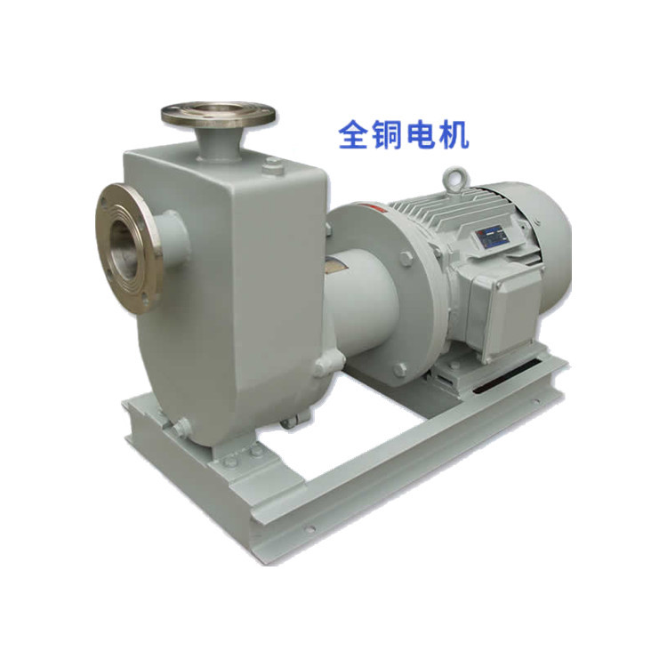 上海博洋水泵ZCQ自吸式磁力驱动泵 化工磁力驱动泵 磁力自吸泵