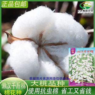 ǧ��Нh�޻��N�ӿ��x���ґ����޻�����⏑Нh���ز��½�����