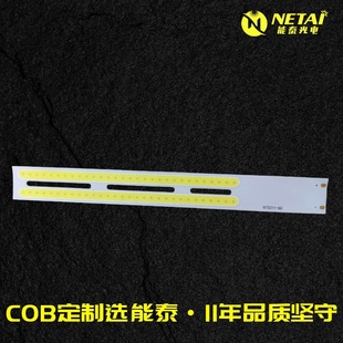 Double Luminous Surface Headlight Bendable Fpc Soft Board Cob Light Source Customized Nengtai Guangdong Ningbo Source Factory