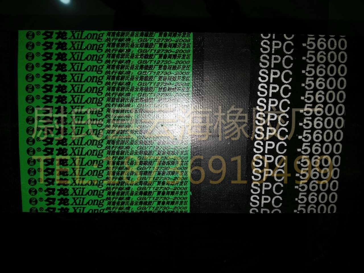 SPC联组-5600窄V联组带  SPC联组带   水泥厂用SPC联组三角带