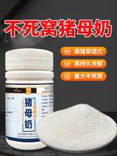 �iĸ����~Сș�ߝ�������ĩ�㾫�~�D�a�~���~�_���iĸ�����ӄ�