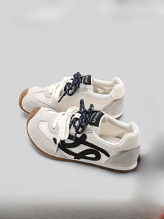 �ļ��ٴ�ܛ�׳������^͸�����e����Ь�_ܽ�ݾW���ӖЬŮ2026�¿�
