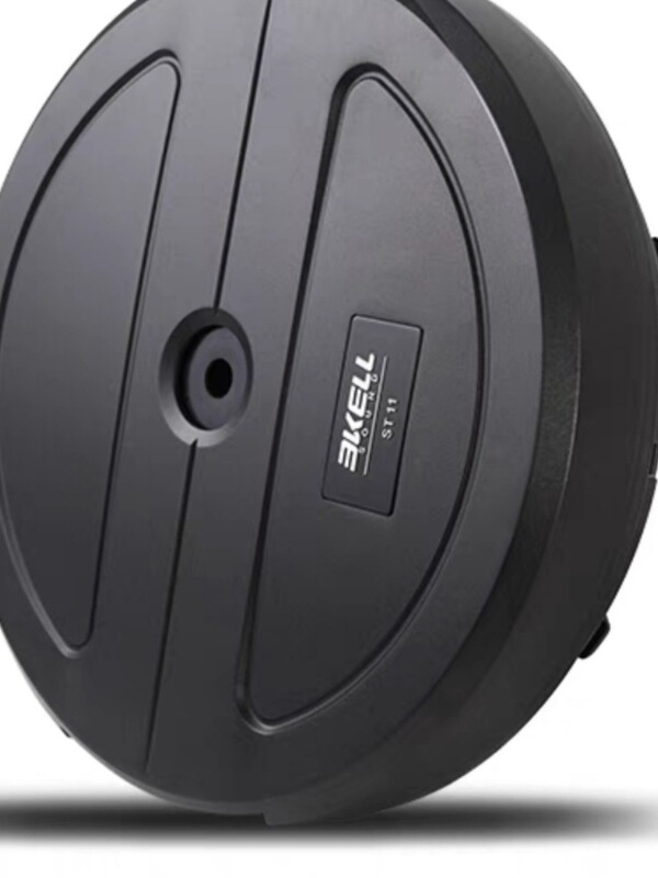 Bakker Ultra-Bass St11 Spare Tire Subwoofer 10inch Active Subwoofer Car Audio Subwoofer Bakker St11