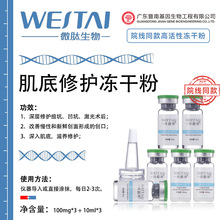 暨南美容院线复合多肽8万活性修护中胚层浅导冻干粉加工OEM保湿