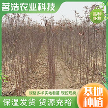 �O������޽��O����F�ڬF�u��������������������O����