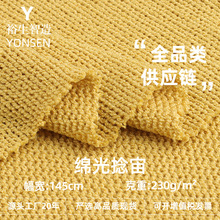 新品 230g绵光捻宙毛圈布 秋冬日韩休闲服时装针织面料