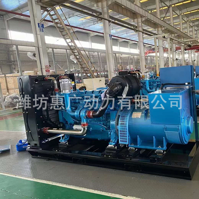 潍柴原装柴油发电机组WPG250B93 滚筒筛沙机配套200KW发电站