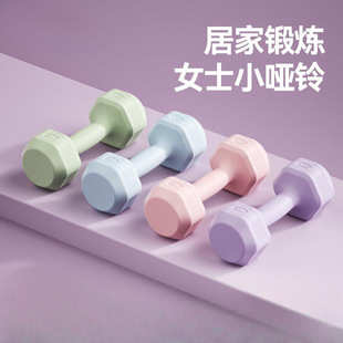 Dumbbell Women's Fitness Household Equipment Yoga Kettlebell Men's Back Barbell Children's Small Dumbbell Pair Equipment