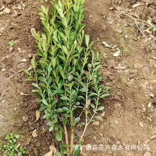 ���� ���ݻ��ش������l��ɺ������������~�S������S��G�h