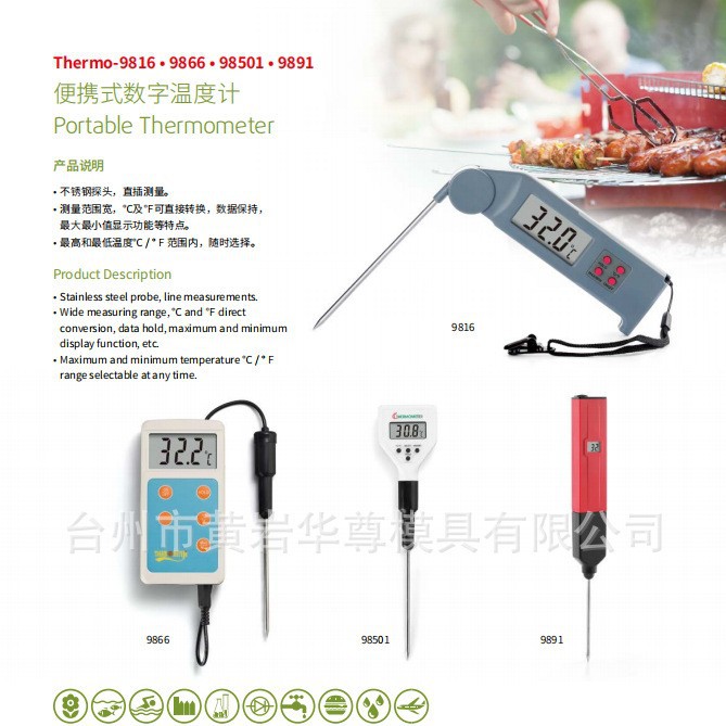 华尊仪器 便携式数字温度计9866 直插测量