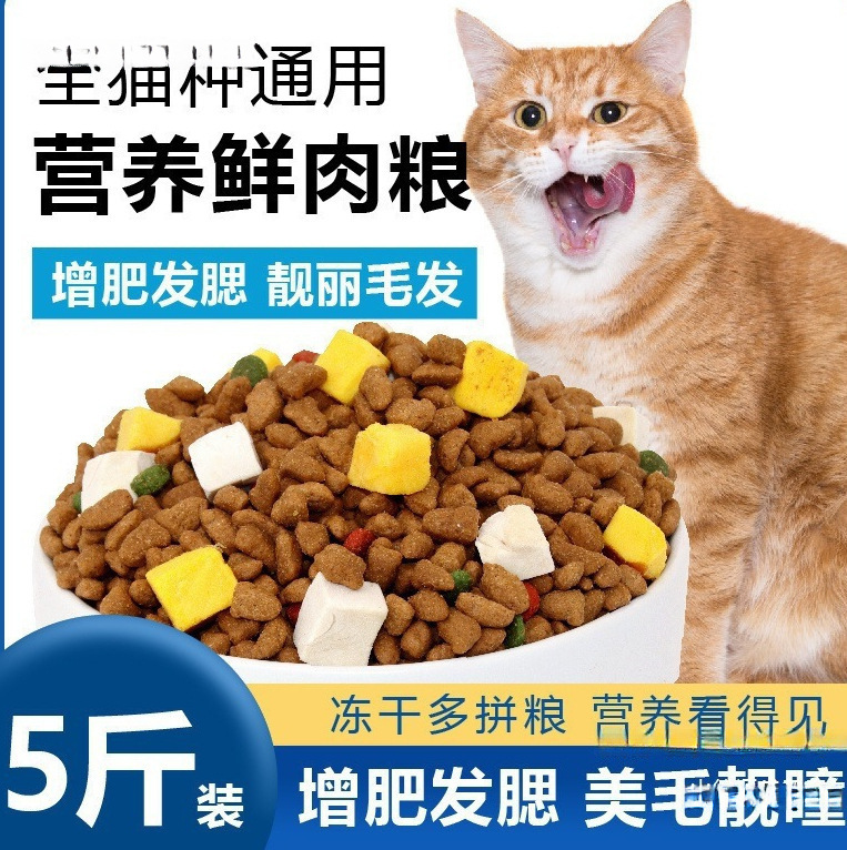 General-Purpose Cat Food Wholesale 5 Pounds 5kg Adult and Young Cat Large Bag Wholesale Marine Fish Flavor Fattening Stray Cat Food 0.5kg