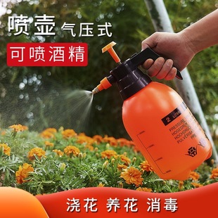 Household Thickeneded Plastic Gardening Watering Can 2 Liters for Watering Flowers and Plants Special Large-Capacity Watering Can Disinfection Watering Can