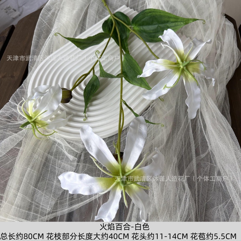 불꽃 백합