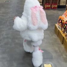 Ůͯë�q���b�����¿ͯ���ɐ������·�Ů��ë�¶�ѝ����