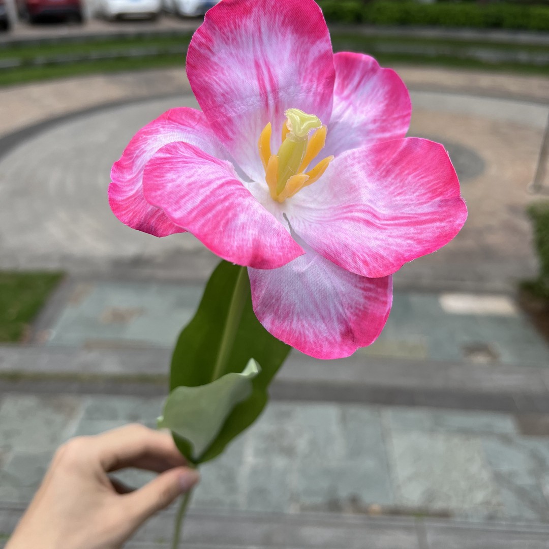 Flor grande siente tulipán Rosa profundo