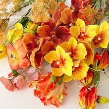 ��ɫ���ܷՇ��л�ˇ�廨�ɻ��Y���ֹ�diy�b�����ɫ�ָ��ľ�