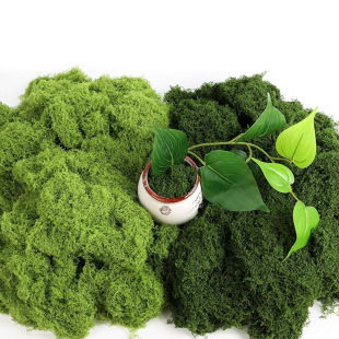 ̦\ diy̦ƺƤGֲb쾰辰z̦\