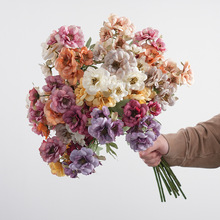 ��֧ɽ�軨 ���滨�Ҿ��b��̄ջ�Ӽٻ���ˇƷ �S�����l�羳����