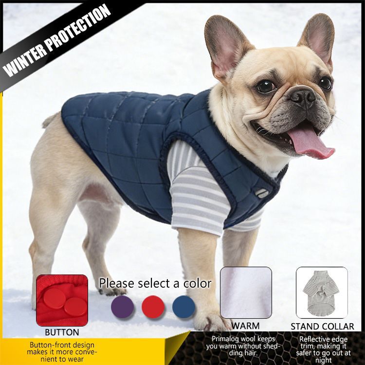Cross-Border Zipper Jacket Pet Clothes Hooded Windproof Cat Cotton Coat Winter Cotton Warm Chest and Back Dog Clothes