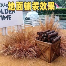 ����ݲ�é������ɳ����ƺ�̈����^ͥԺ���쾰ɫ��̺ʽ��Ƥ䁉|