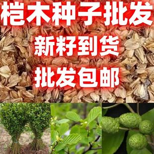 ��ľ�N�Ӻ����ϷN��ˮ���Ϙ�N�� ˮ���L���ｭ�Ϙ�ľ�N��