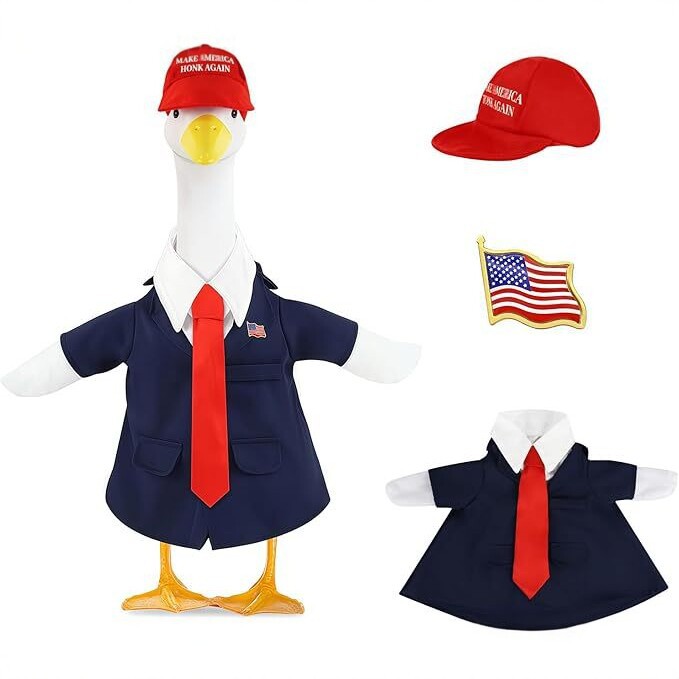 23-Inch American Patriotic 4th of July Star-Spangled Gown Set (Featured 1688)