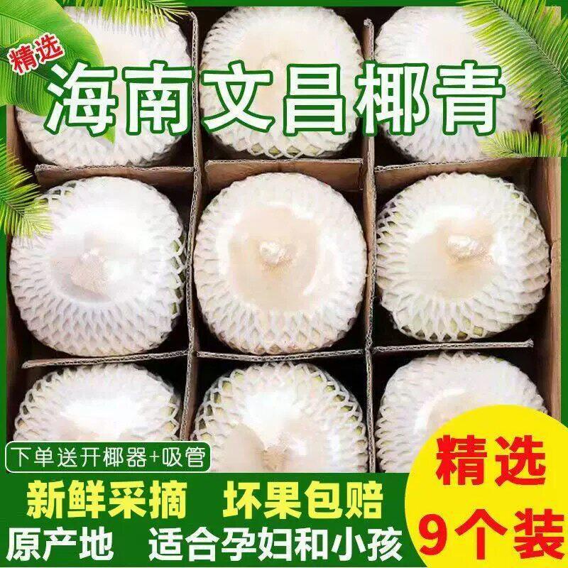 Seasonal Hainan fresh young coconuts, 9-pack peeled perfumed coconuts, fruit for pregnant women, whole box with free shipping, specialty product