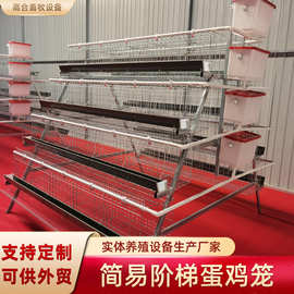 四层五门阶梯式蛋鸡笼农场鸡舍养殖蛋鸡笼子食槽现货养殖设备厂家