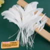4-6 Tear white tails, starting from 50 pieces