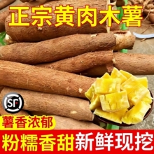 广西黄心木薯新鲜挖特产农家当季黄肉面包木署板栗红薯糖水店9斤