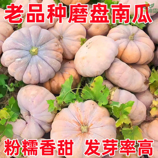 ĥ�P�ϹϷN�ӱ�A��Ʒ�N��Ŵ�������A�洺��������Բ��N