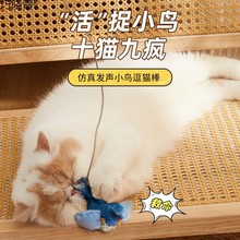 猫咪玩具逗猫棒仿真会叫小鸟玩具幼猫自嗨解闷神器耐抓咬宠物用巧