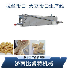 球状植物拉丝蛋白块生产加工设备仿荤素肉人造肉组织蛋白生产机械