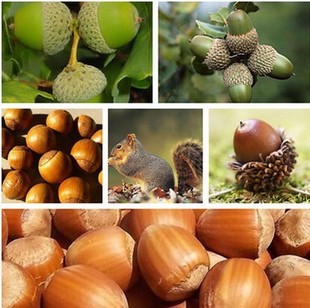 �����t���N�ә�������י����������ɹř��陵��������ľ�N��