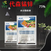 ����ɭ��ɭ�i�\�����������S���O�����R���˪ù�����߲�������