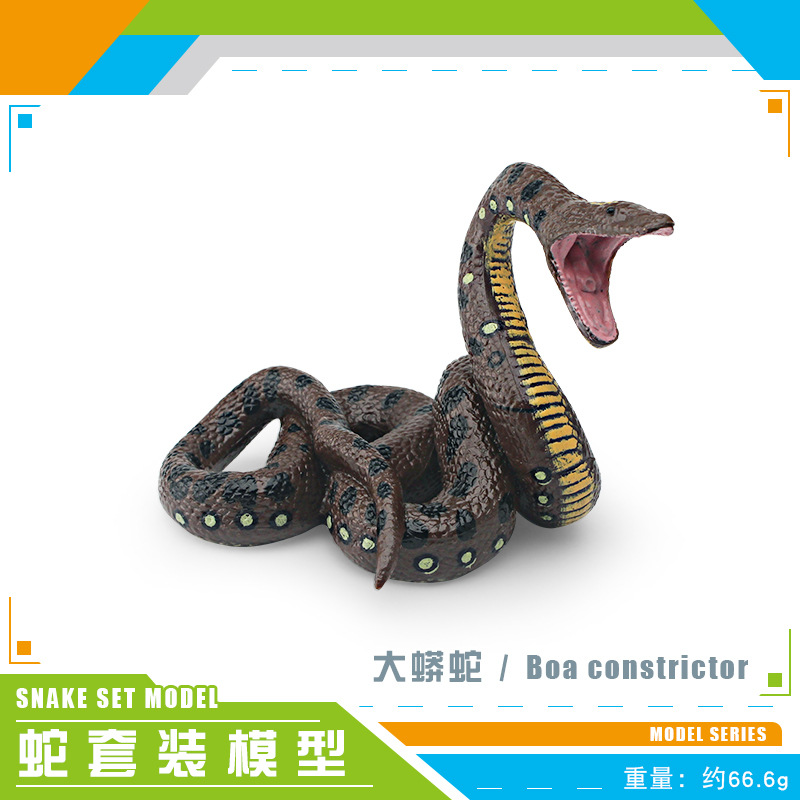 PL127-676 Python 66,6G