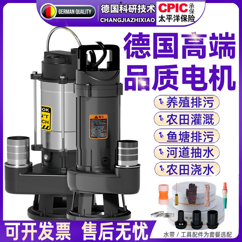 Pequeña bomba de agua agrícola bomba de corte bomba de aguas residuales bomba sumergible doméstica bomba de alta elevación 220V bomba de riego