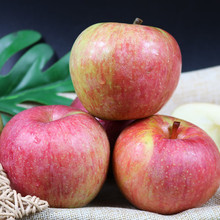 ů������NUANXINGUO���|���Ϙ�С�����O�����rˮ������ 5����b