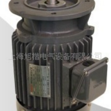 SEING电机AEVFJL 112M 5HP 3.7KW