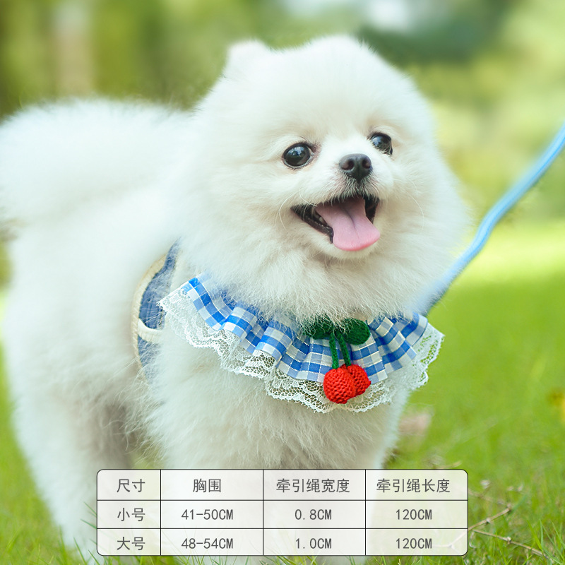 블루 [로프 길이 1.2M]