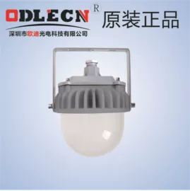 其他专用灯具;防爆灯;投光灯