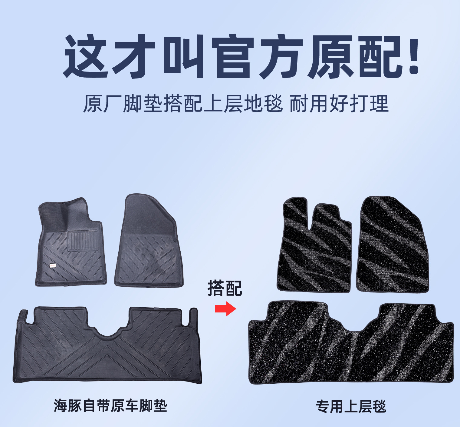 Byd Song Plus Qin Seal Sea Lion Dolphin Yuan up Han Upper Carpet-Style Floor Mats Second-Layer Replacement Dirt-Resistant Mats